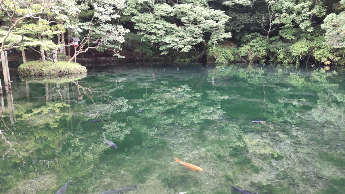 西弁天池（栃木県）