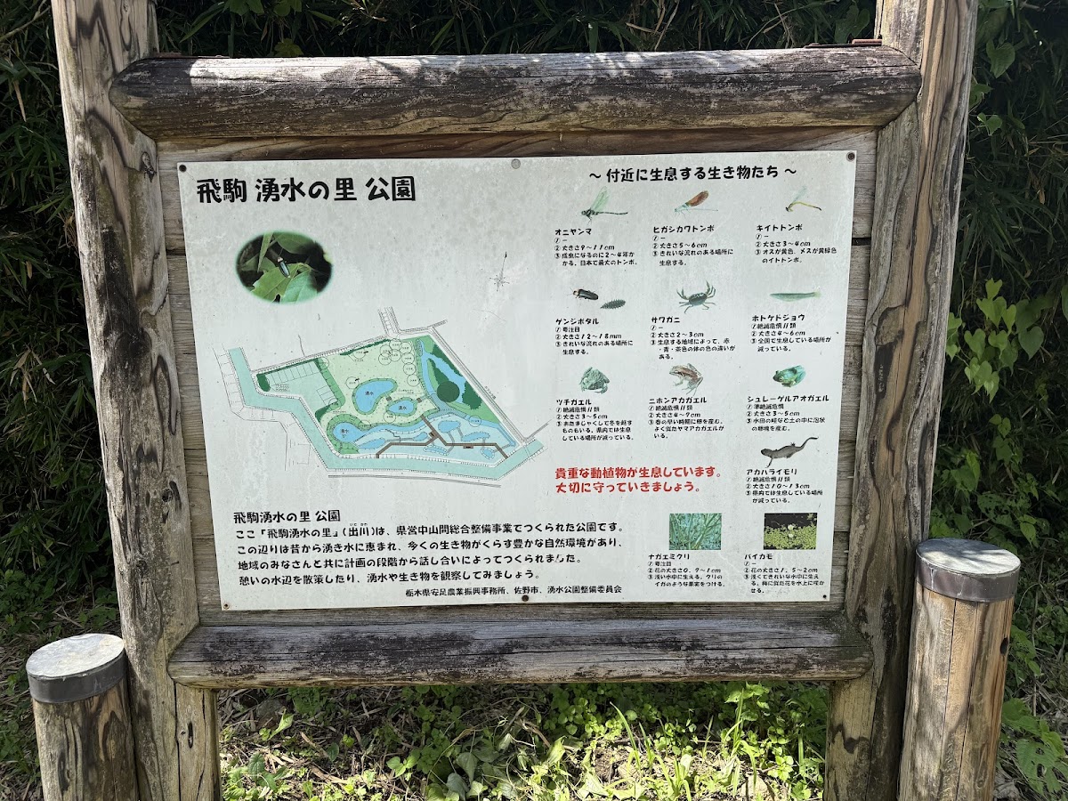 飛駒出川湧水公園（栃木県）