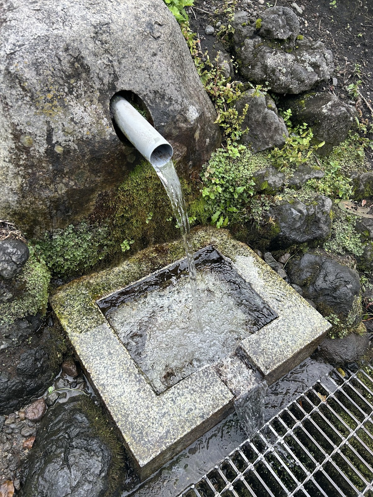 美濃谷戸沼（群馬県太田市）