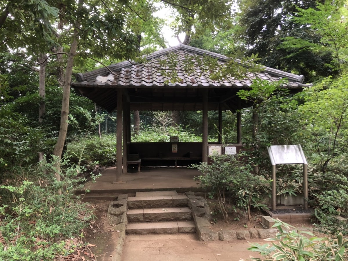 おとめ山公園