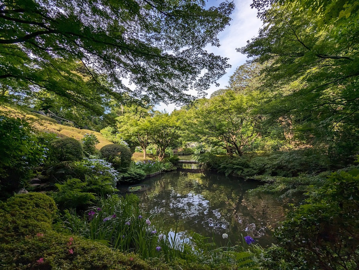 池田山公園