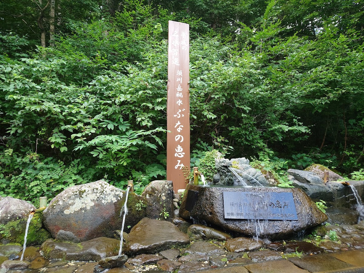 須川岳秘水ぶなの恵み