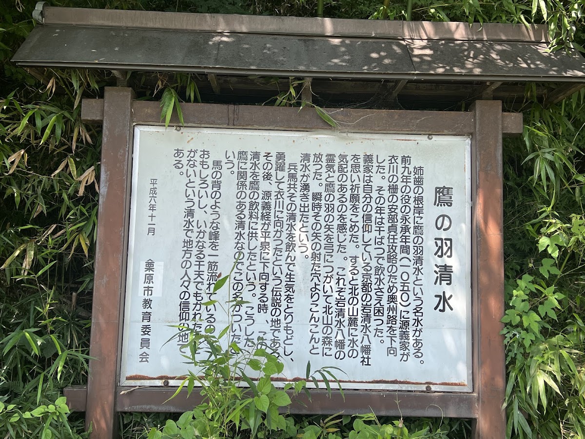 鷹の羽清水