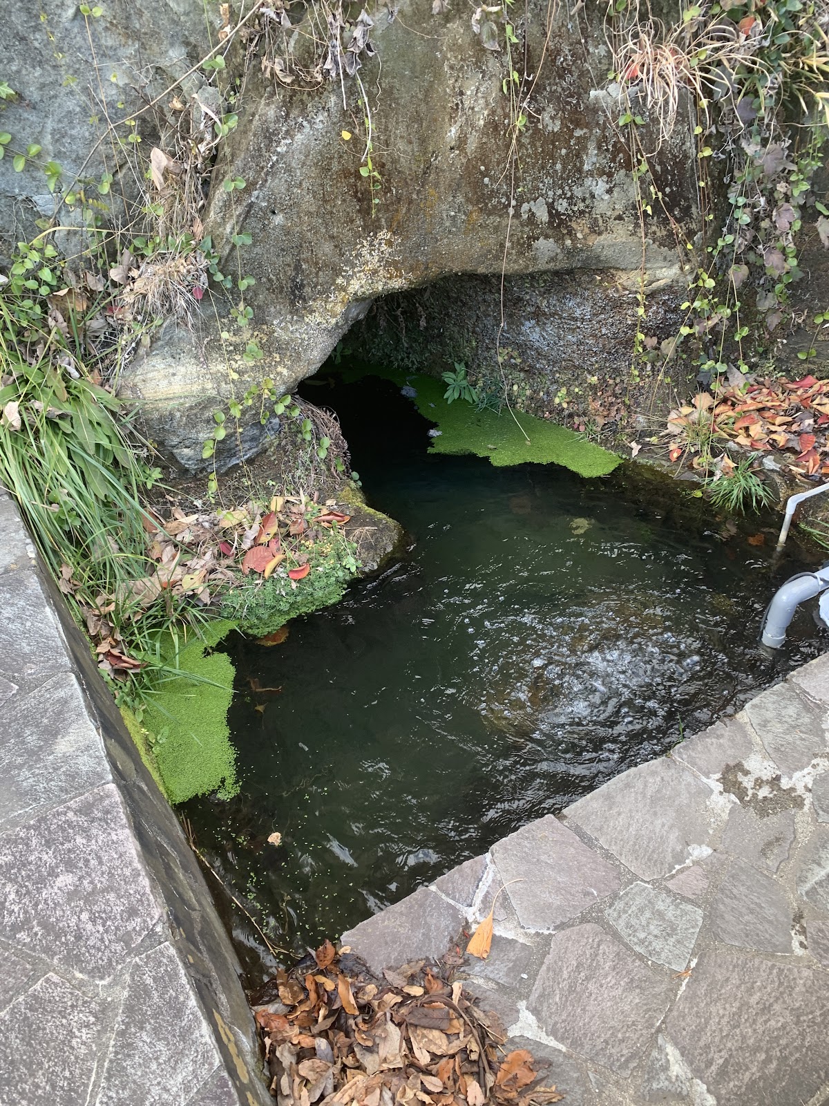 太郎坊清水（一杯清水）