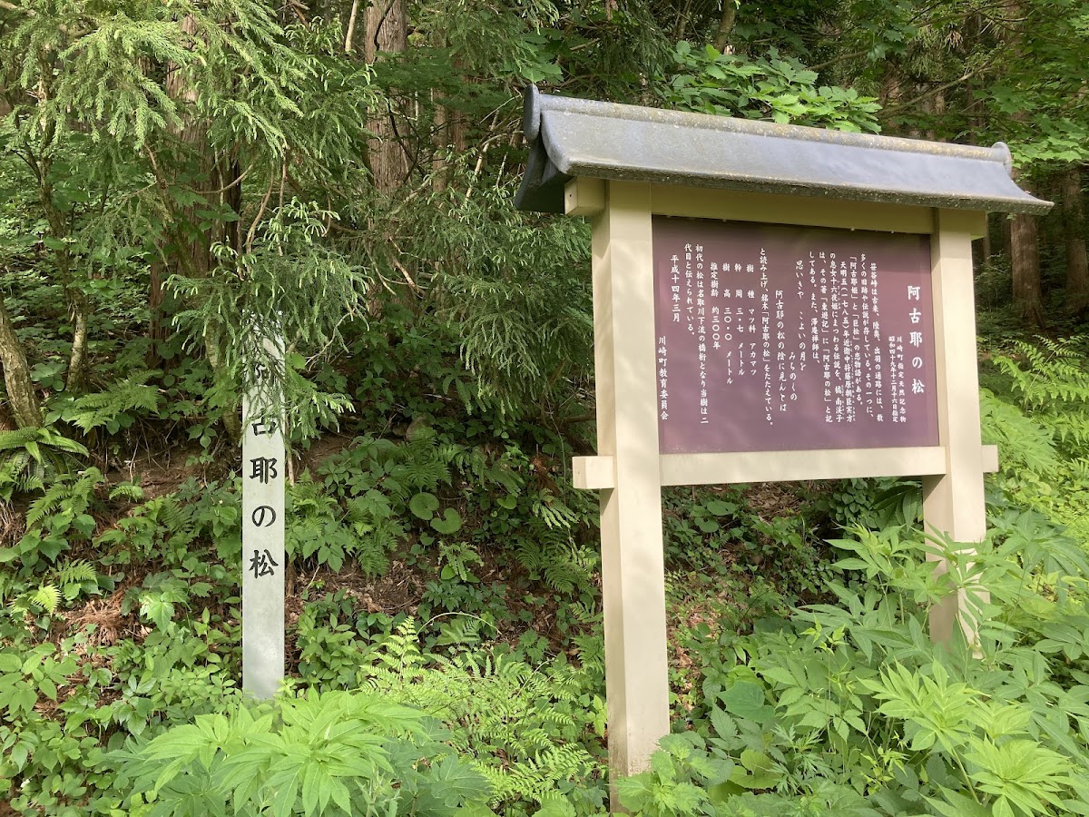 阿古耶の水（山形県）