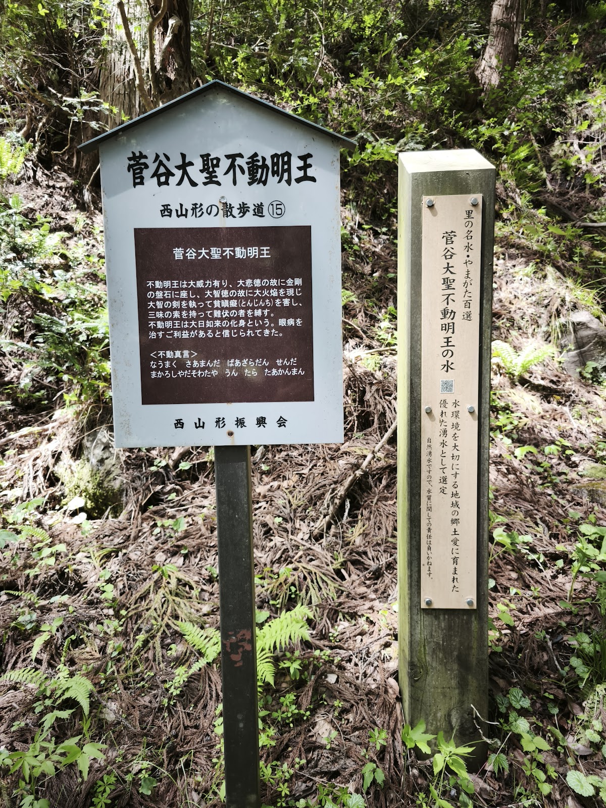 菅谷大聖不動明王の水（山形県）
