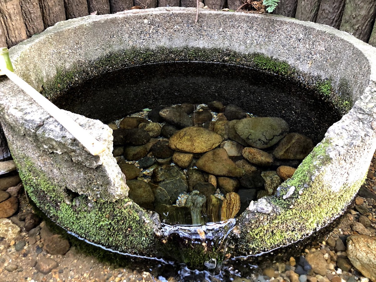 軍民坂湧水（茨城県水戸市）