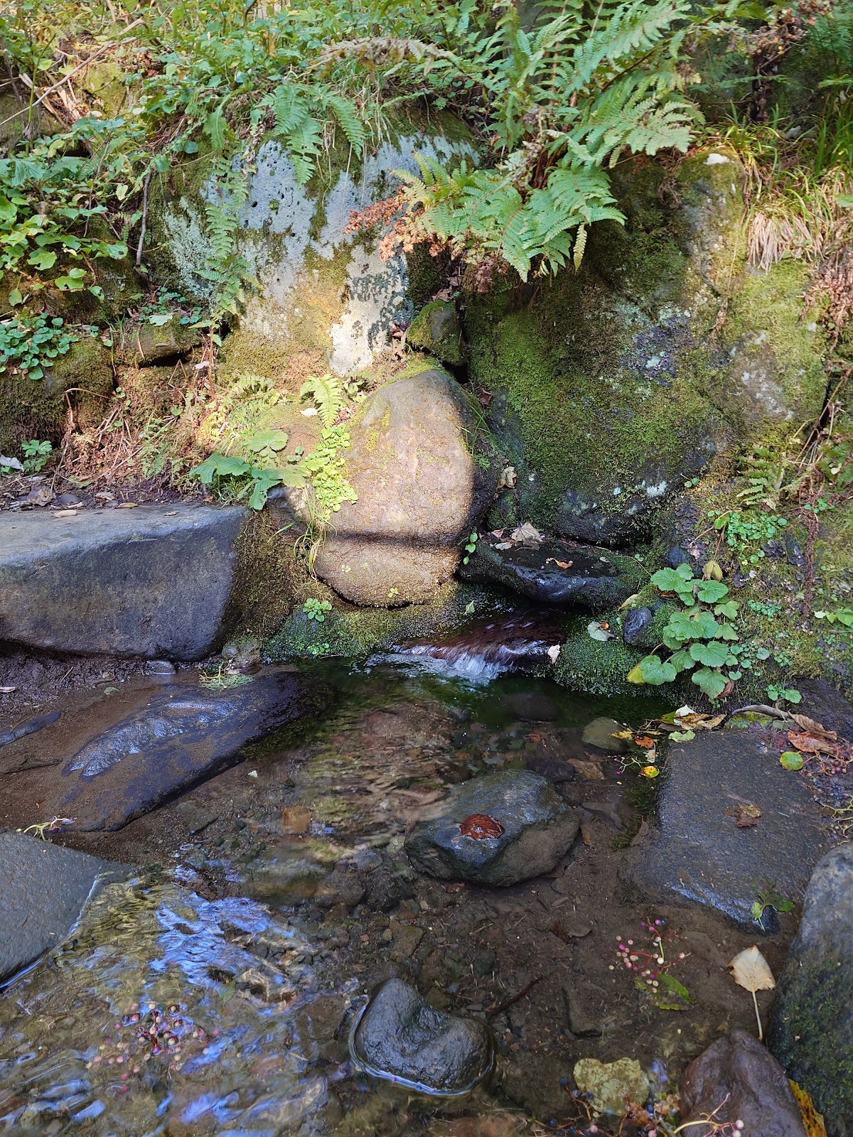 甘露泉水 北海道