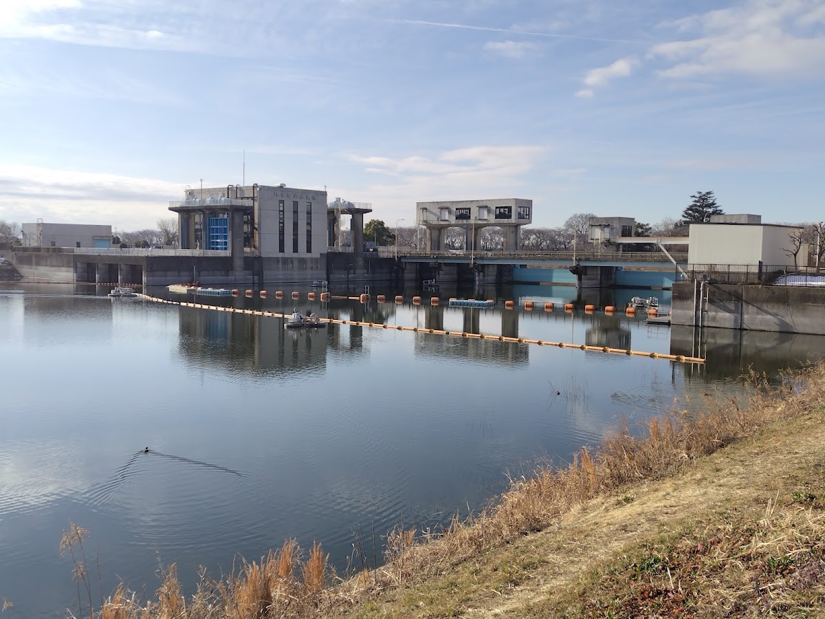 妻沼権現堂湧水(埼玉県熊谷市)