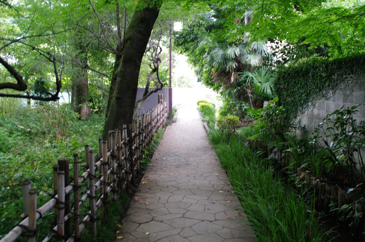 お鷹の道・真姿の池湧水群