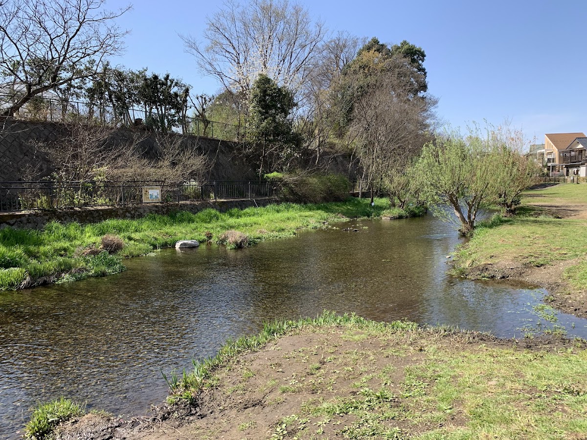 落合川と南沢湧水群 東京都