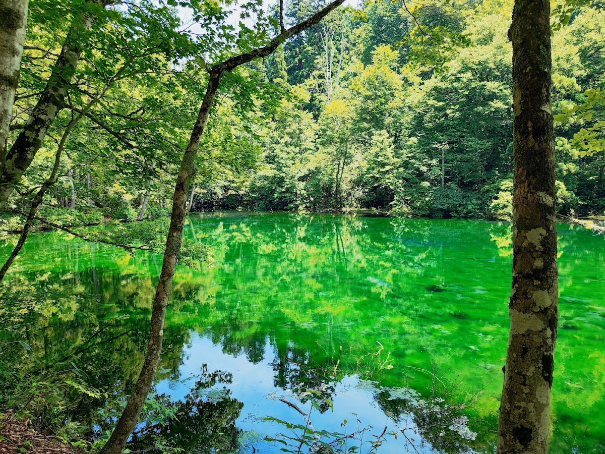 龍ヶ窪の水(新潟県)