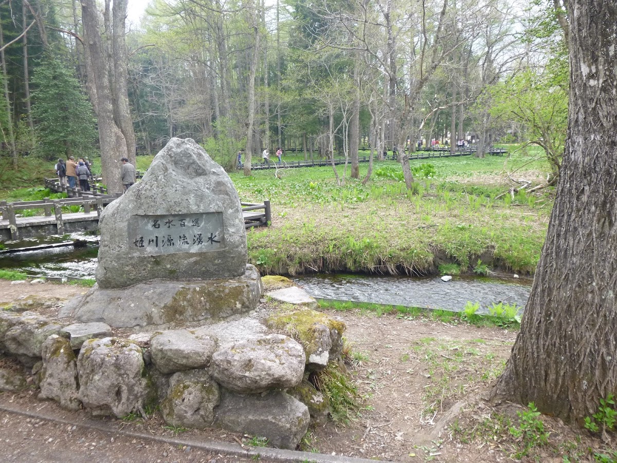 姫川源流湧水 長野県白馬村