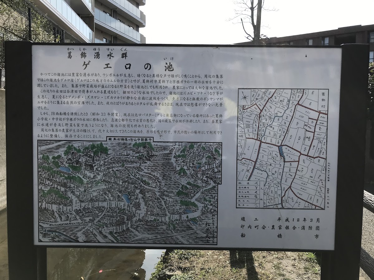 ゲエロの池（千葉県船橋市）