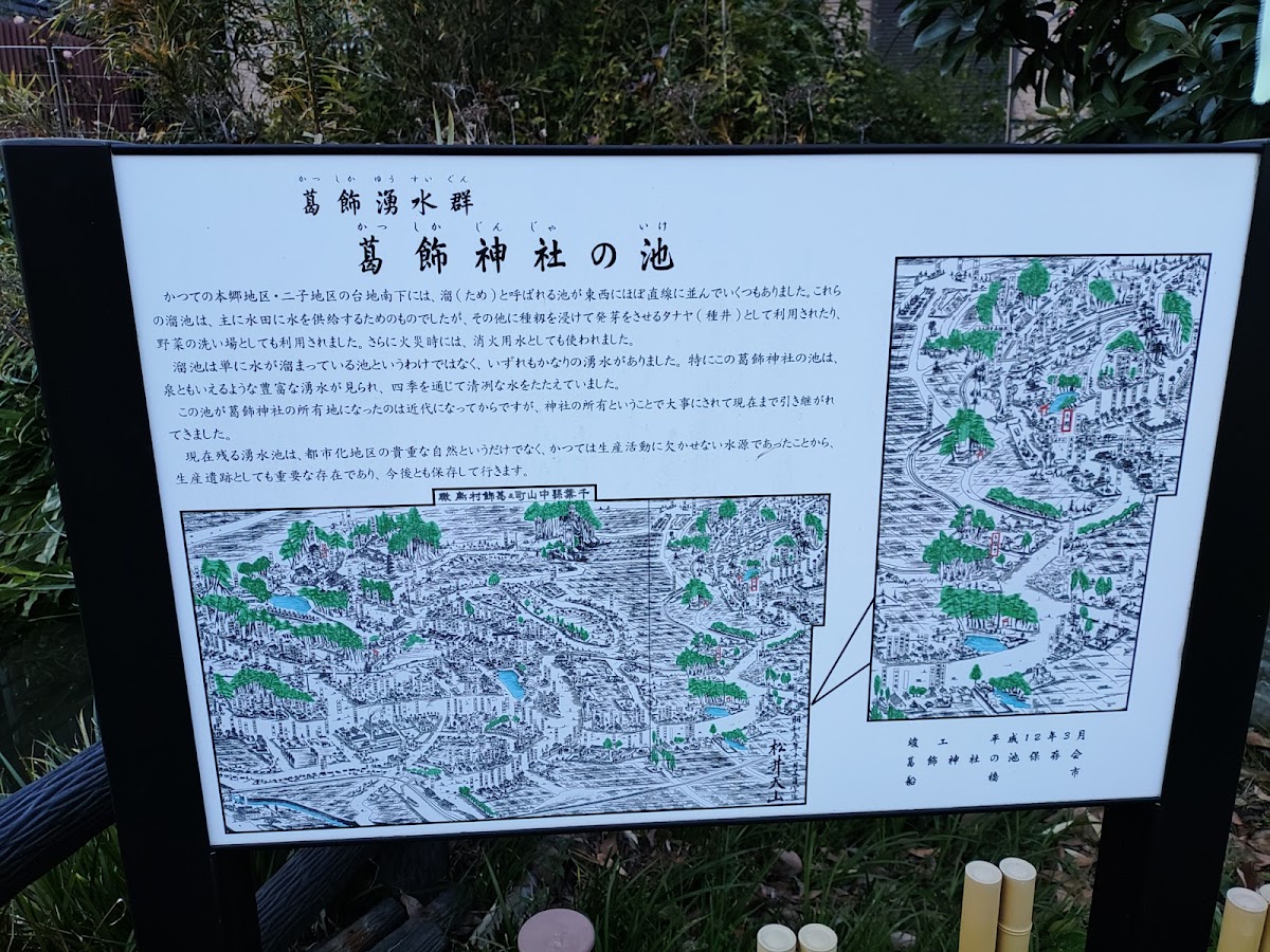 葛飾神社の池（千葉県船橋市）
