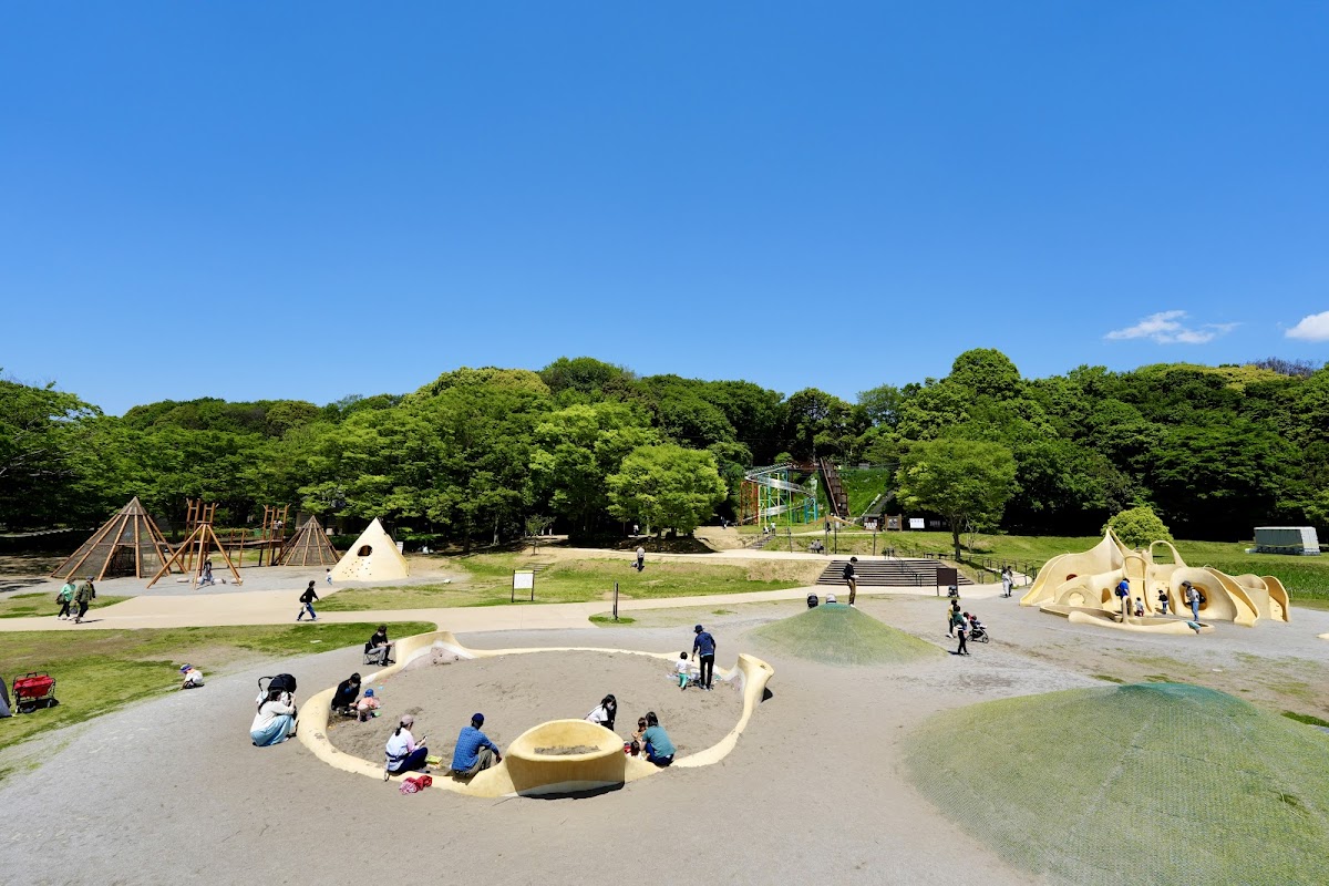 21世紀の森と広場湧水（千葉県）