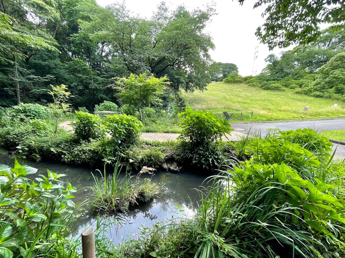 緑ヶ丘霊園内湧水地（神奈川県）