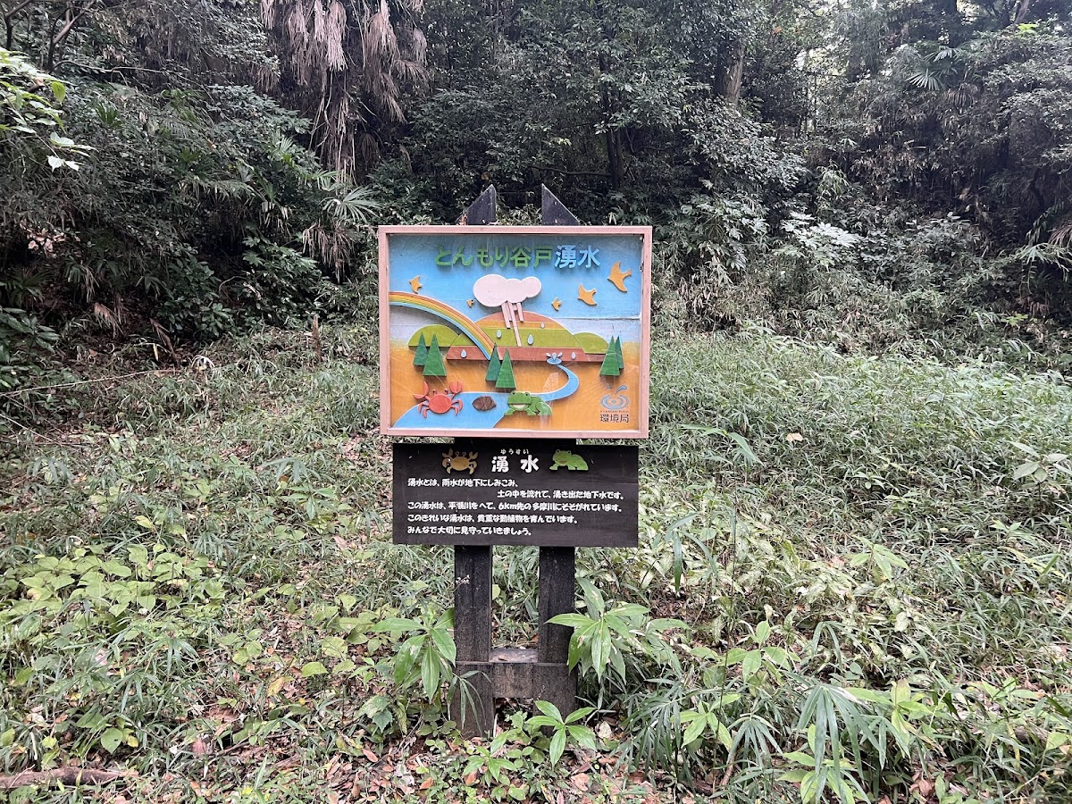 飛森の谷戸湧水地（神奈川県）