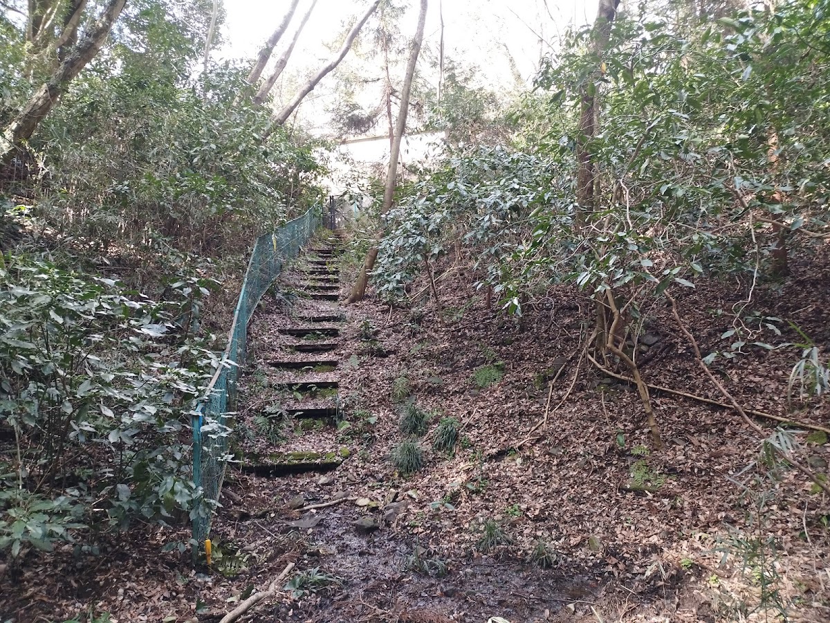 赤松沢湧水（神奈川県）