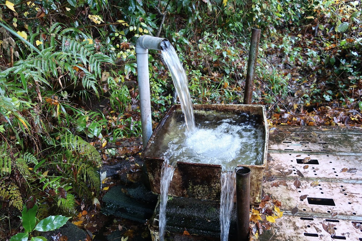 谷津湧水(神奈川県秦野市)
