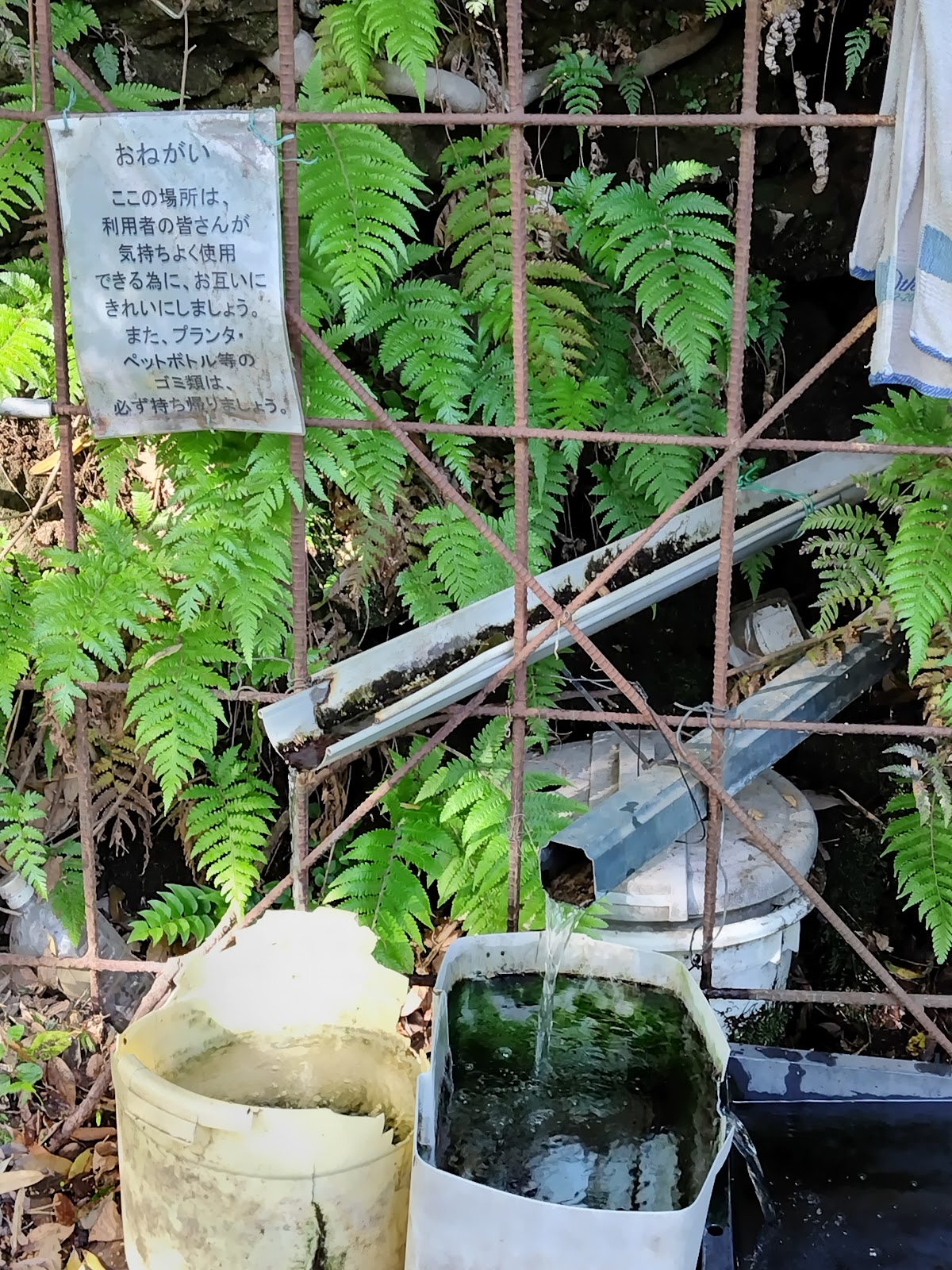 上千頭の湧水（神奈川県）