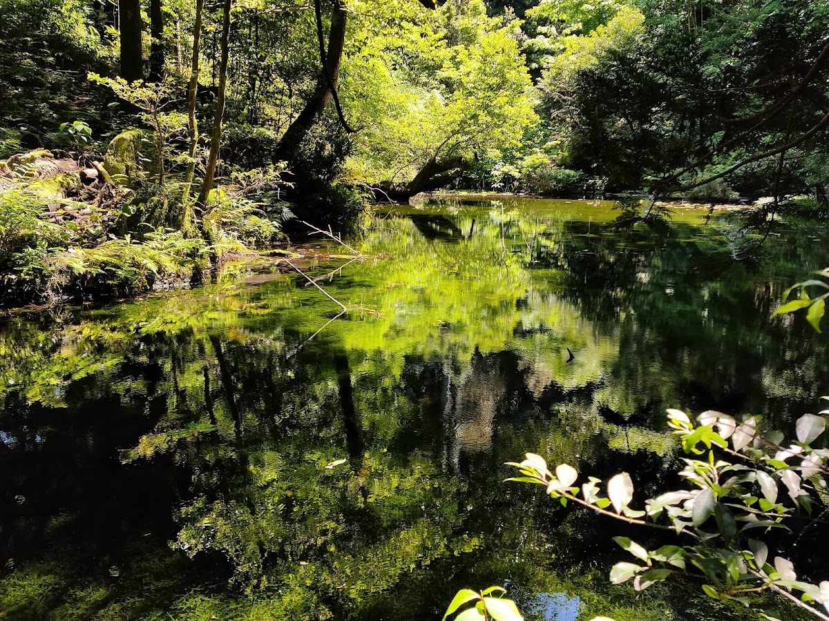 御手洗池（石川県七尾市）