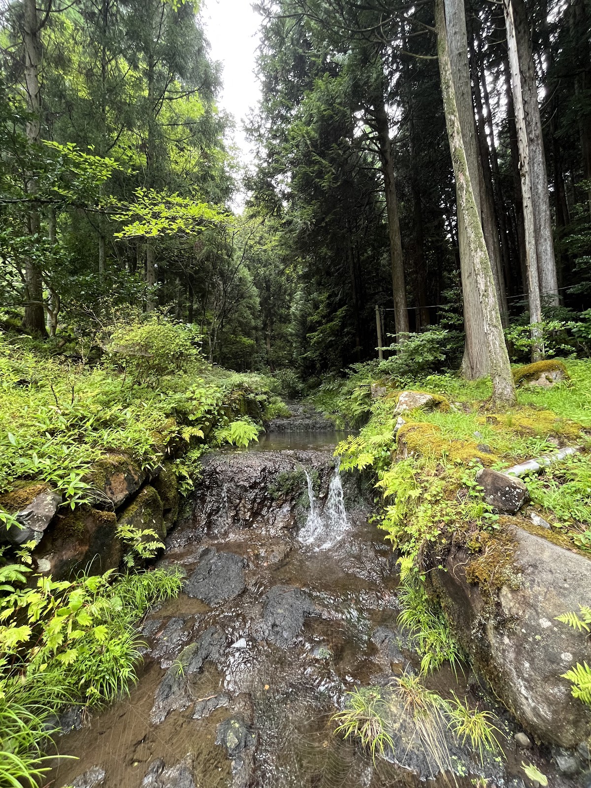 藤瀬の水（石川県）