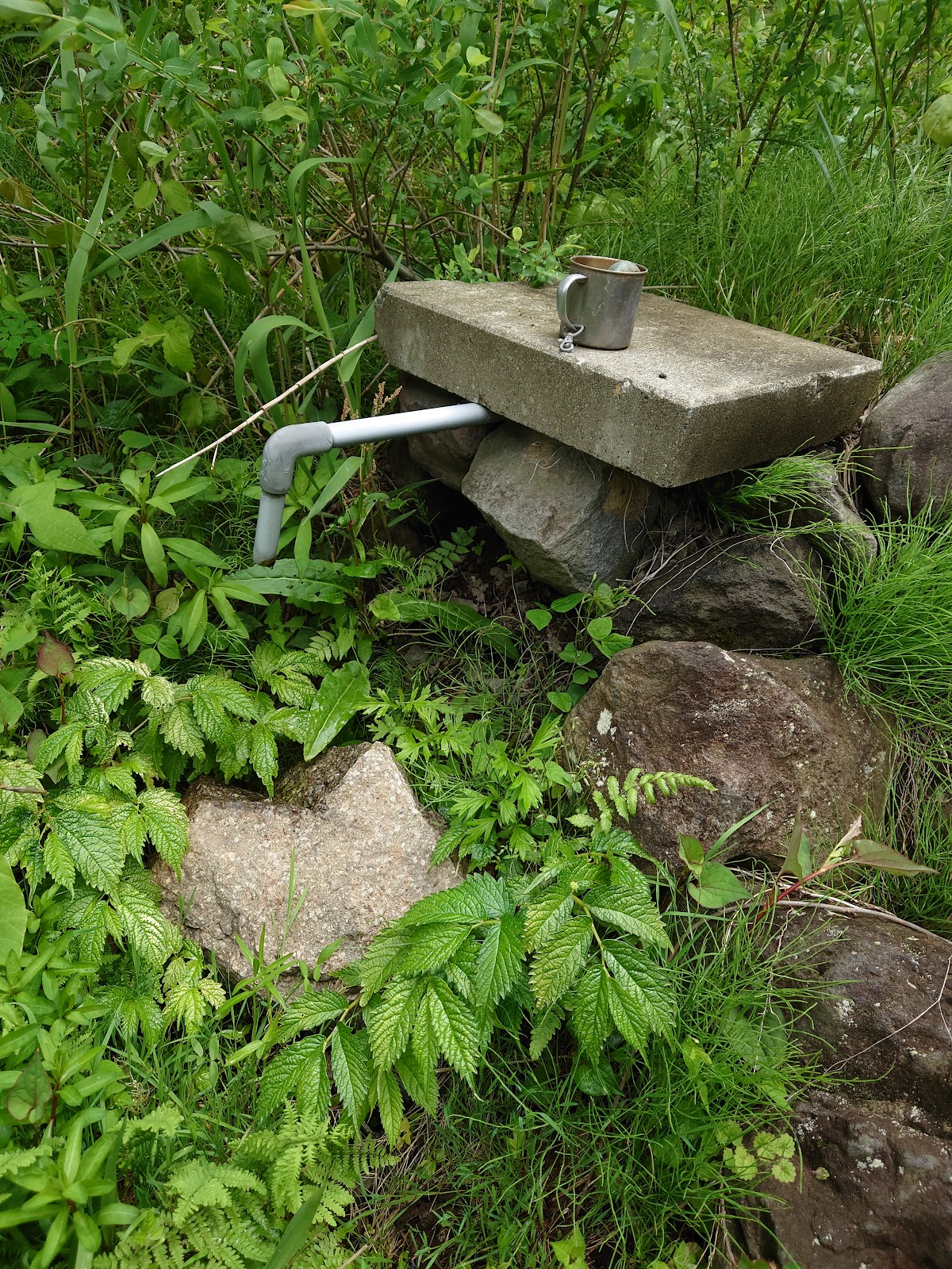 左手子の清水（秋田県）