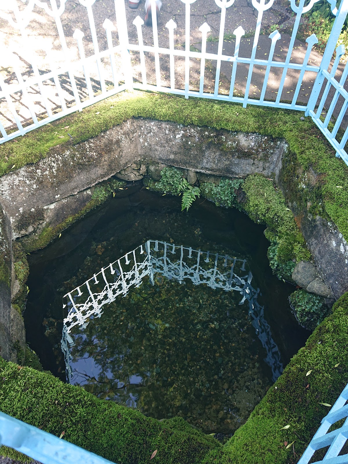呉庵清水（秋田県）