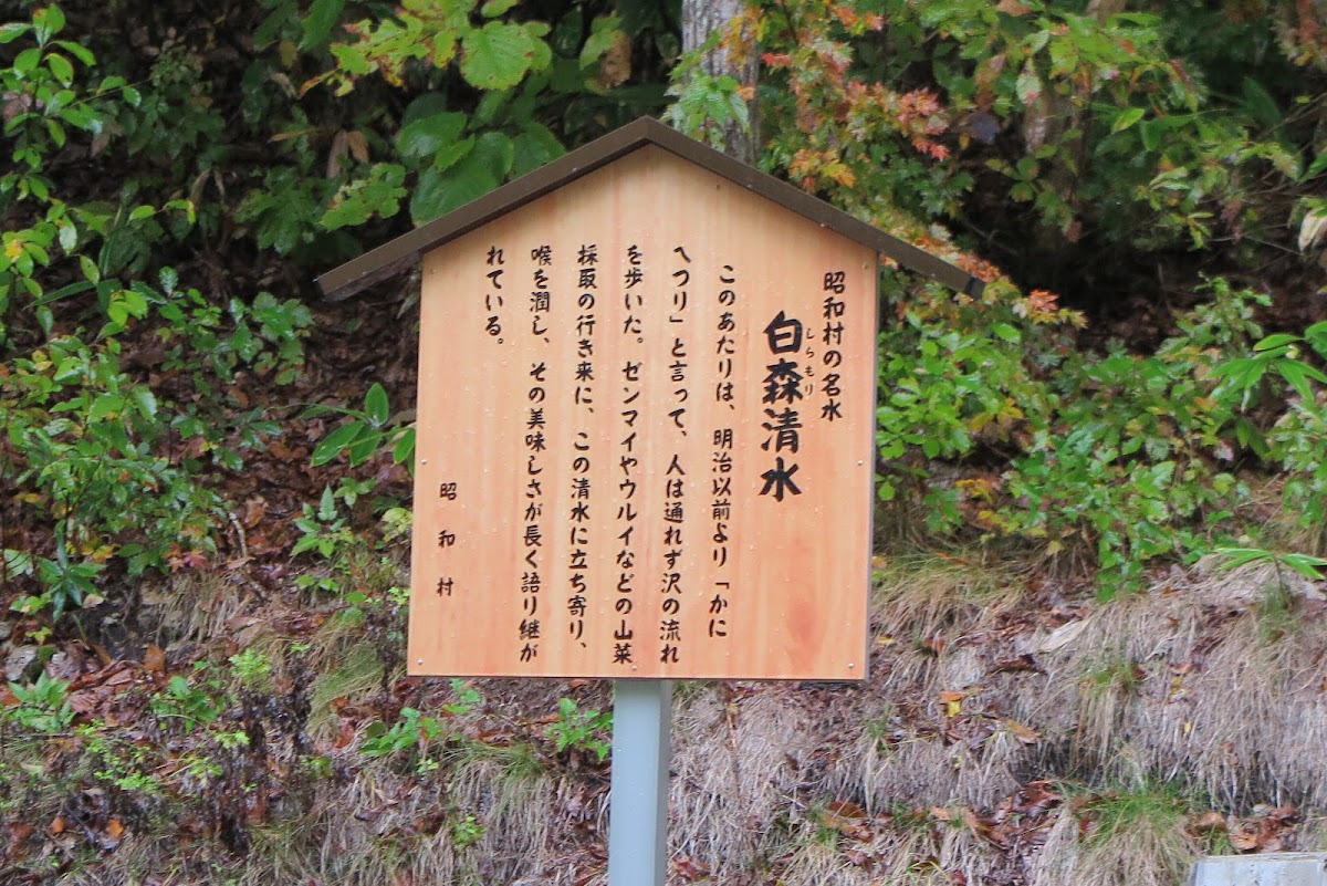 白山沼（福島県会津若松市）