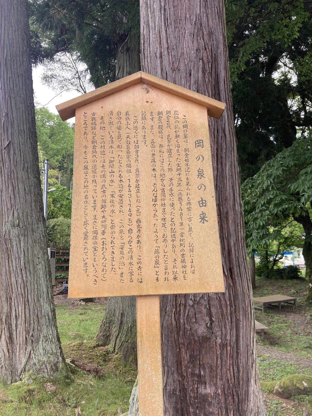 岡の泉（福井県）