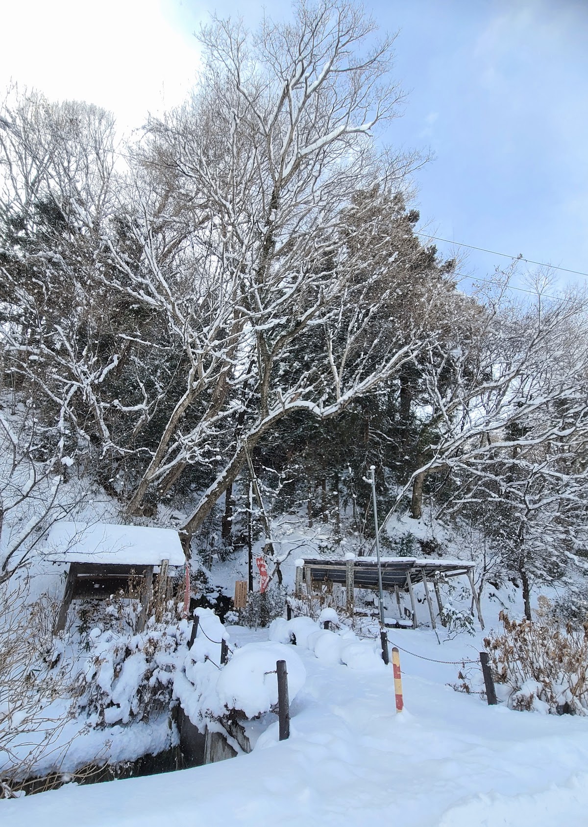 子和清水（郡山市西田町丹伊田字平光内 地内）