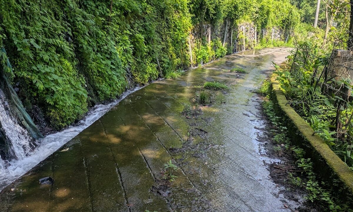 夏狩湧水（山梨県）