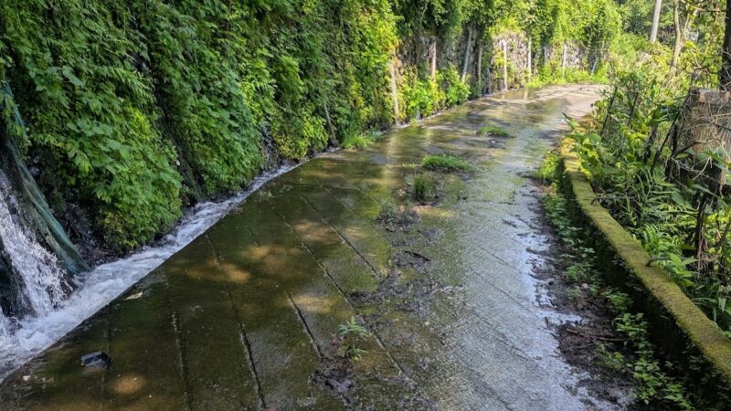 夏狩湧水（山梨県）
