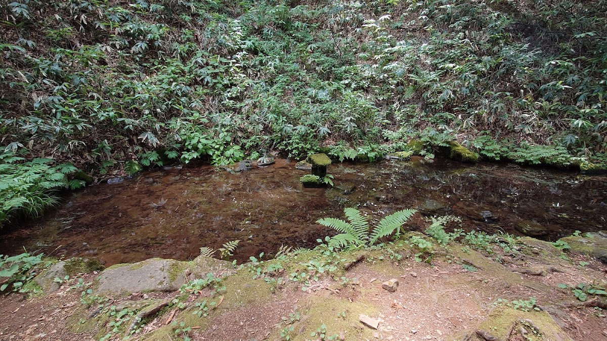 お種池(長野県)