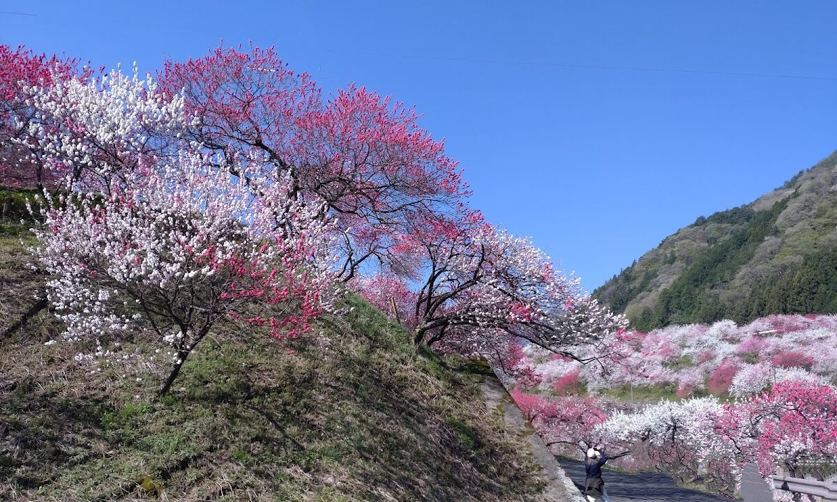 Nakagase Shimizu (Nagano Prefecture)