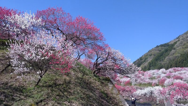 中堰清水（長野県）
