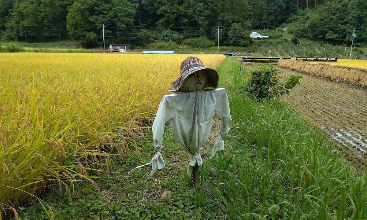 Maeyama Yakushi An Shimizu (Nagano Prefecture)