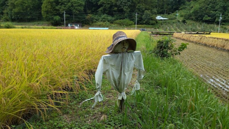 前山薬師庵清水（長野県）