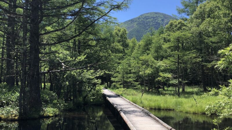 池森の湧水と湯端（長野県）