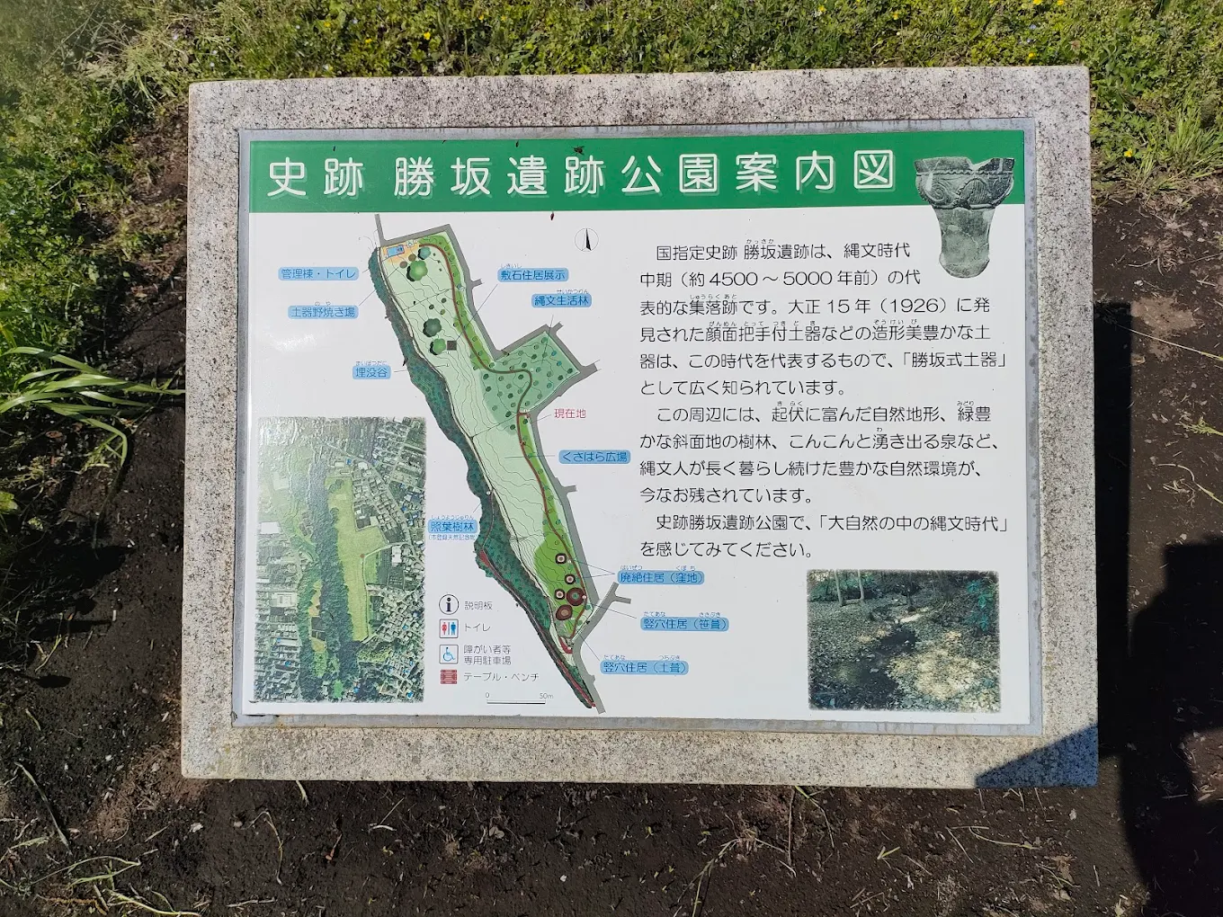 史跡勝坂遺跡公園湧水（神奈川県）