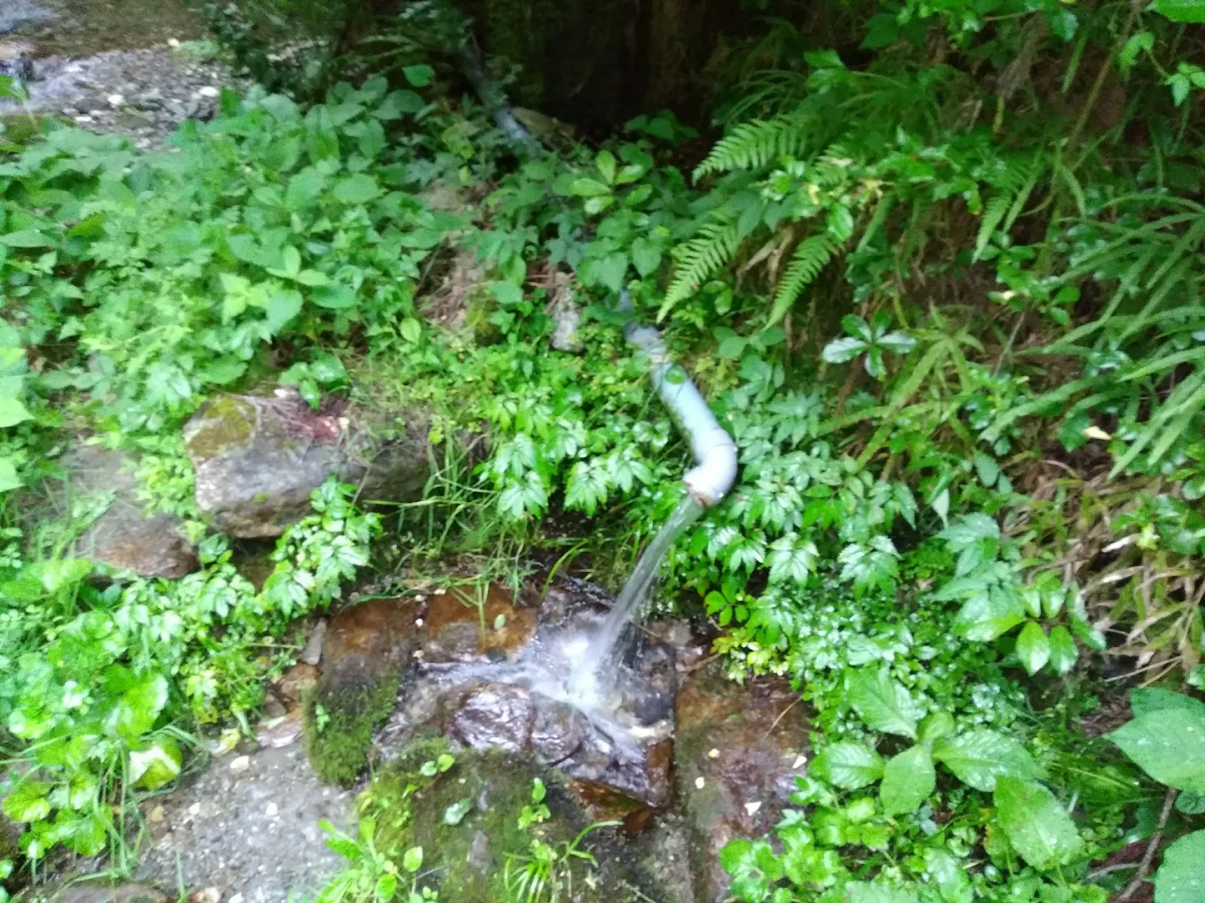 大久保の風穴（茨城県）