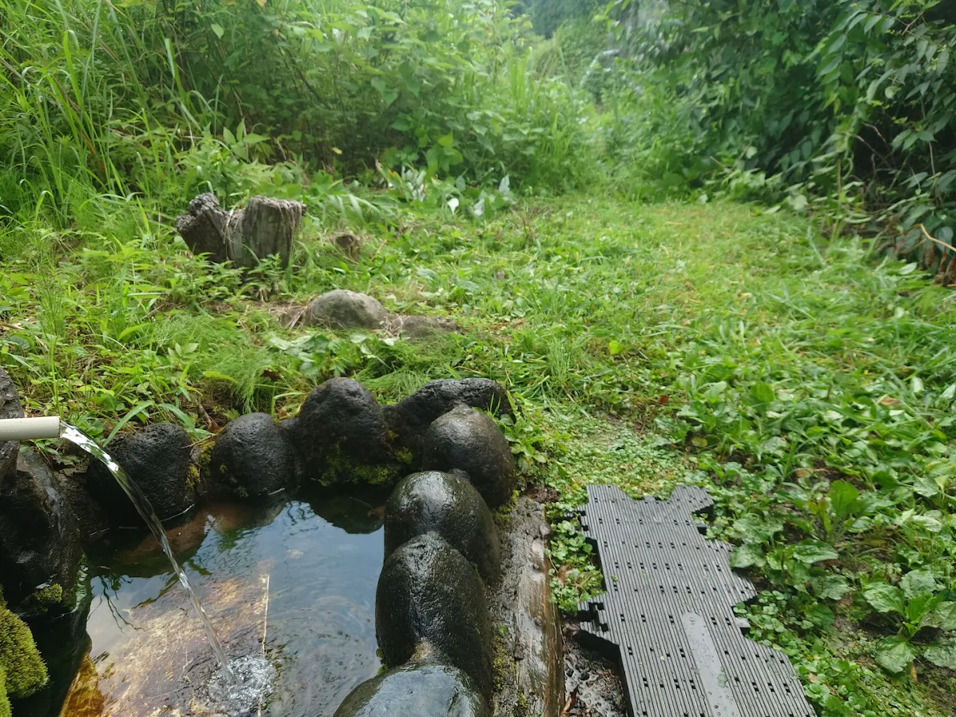 柳川地区湧水池（神奈川県秦野市）