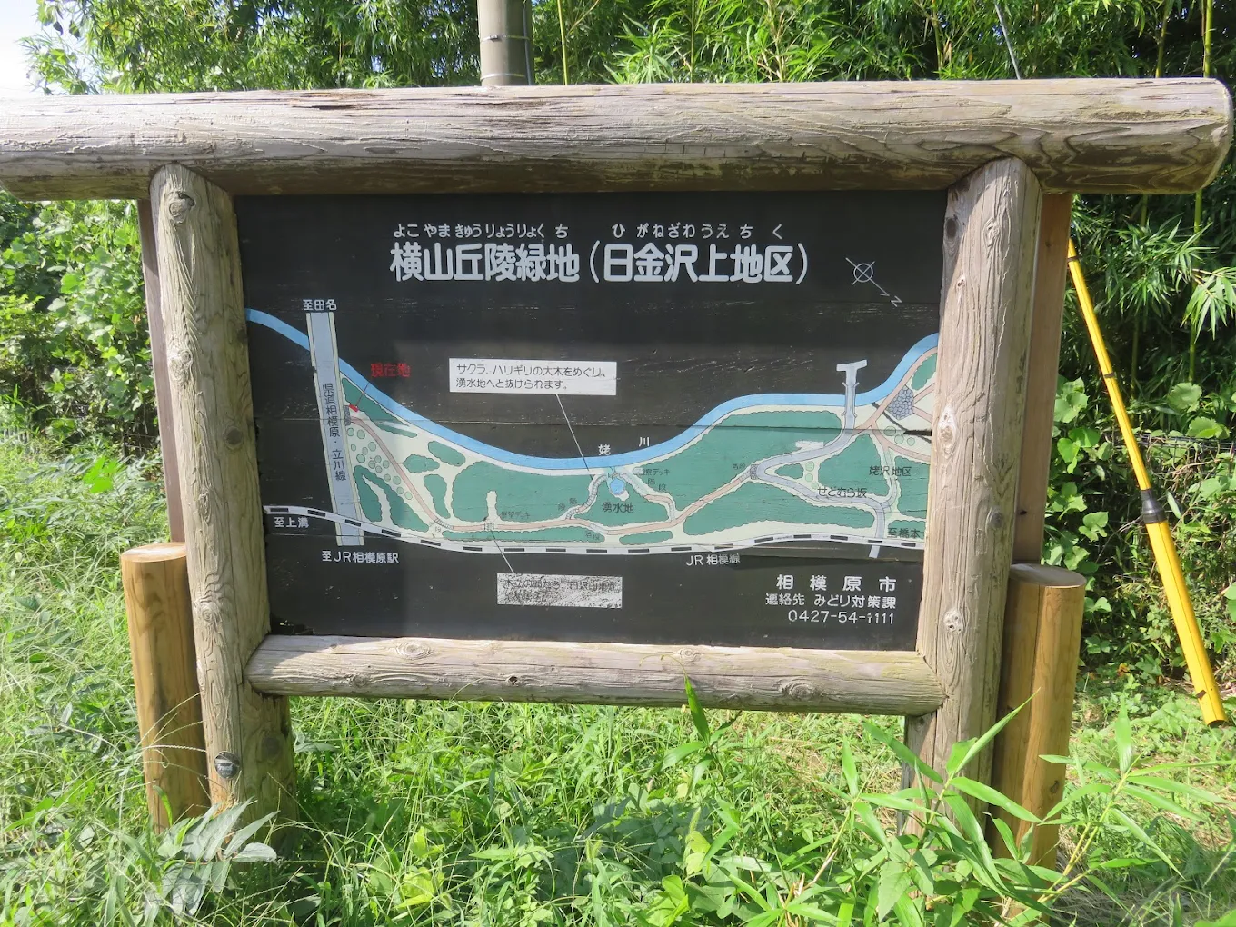 横山丘陵緑地公園湧水（神奈川県）